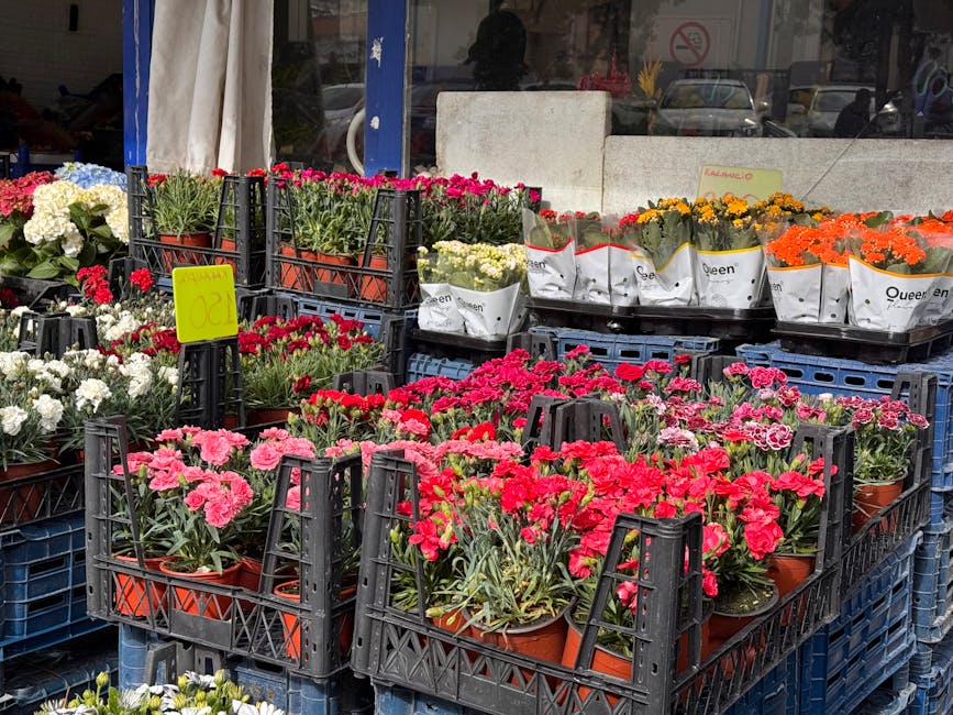 An outdoor display of flower shop crates filled with vibrant, fresh flowers including pink, white, and red carnations, arranged in terracotta pots. The flowers are organized on black plastic crates st